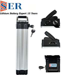 LiFepo4 Ebike Battery